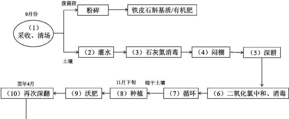 遮阳栽培技术的种类和应用是什么？