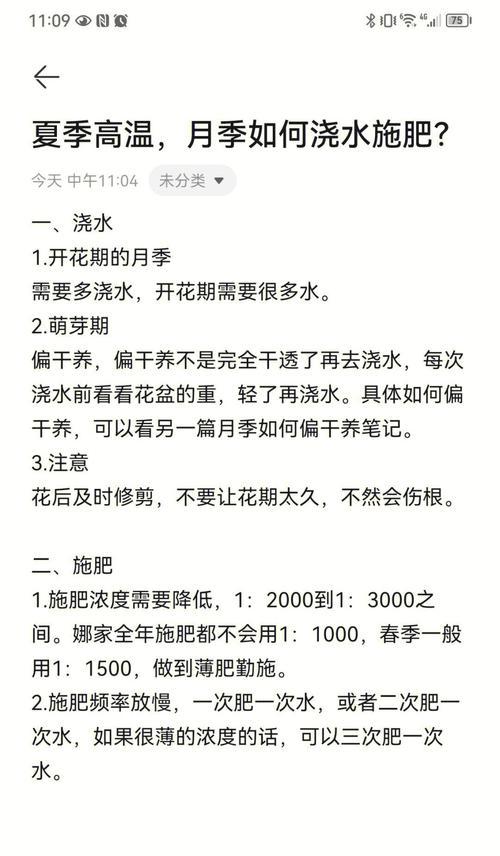 月季移栽后如何正确浇水？