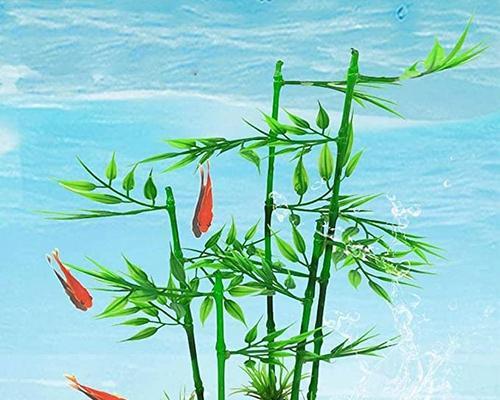 鱼缸木本植物怎么养殖？适合水族箱的植物种类有哪些？