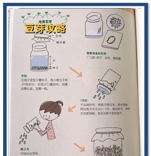 绿豆芽栽培有哪些专业技巧？