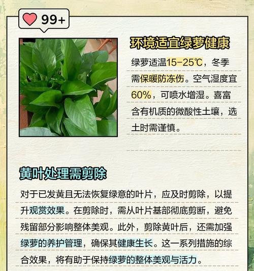 瓜叶斑点发黄枯萎怎么处理？瓜类植物叶子问题的解决方法是什么？