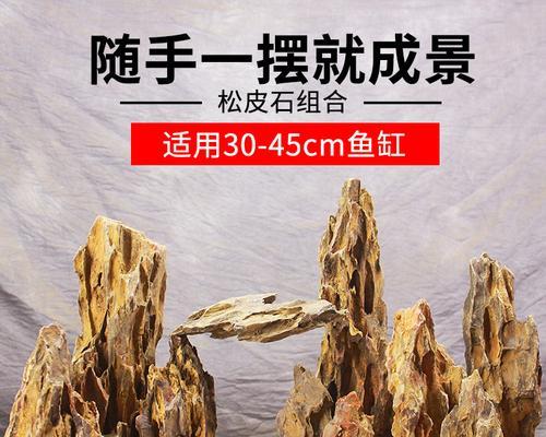 石墨盘鱼缸盆景怎么养？维护和管理技巧是什么？