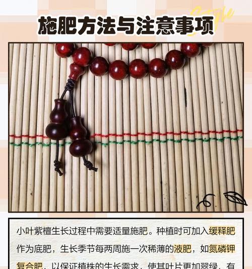 紫檀花瓶盆景的正确养护方法是什么？