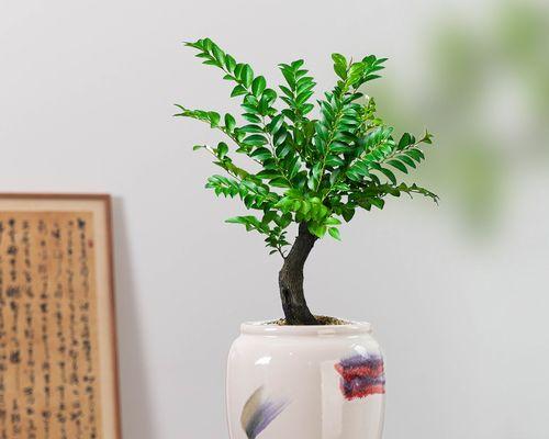 紫檀花瓶盆景的正确养护方法是什么？