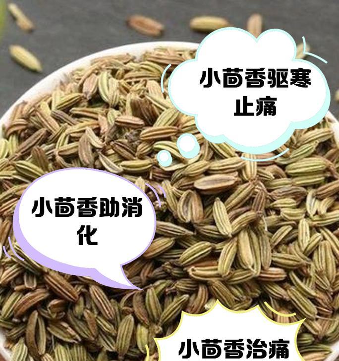 小茴香在河南的最佳播种时间是什么时候？