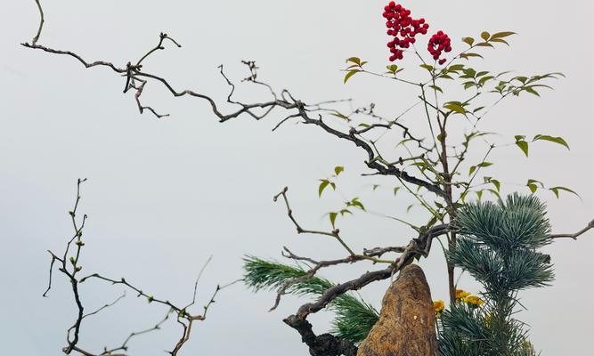 复古盆景插花的正确步骤是什么？