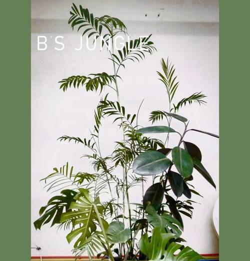 复古盆景插花的正确步骤是什么？