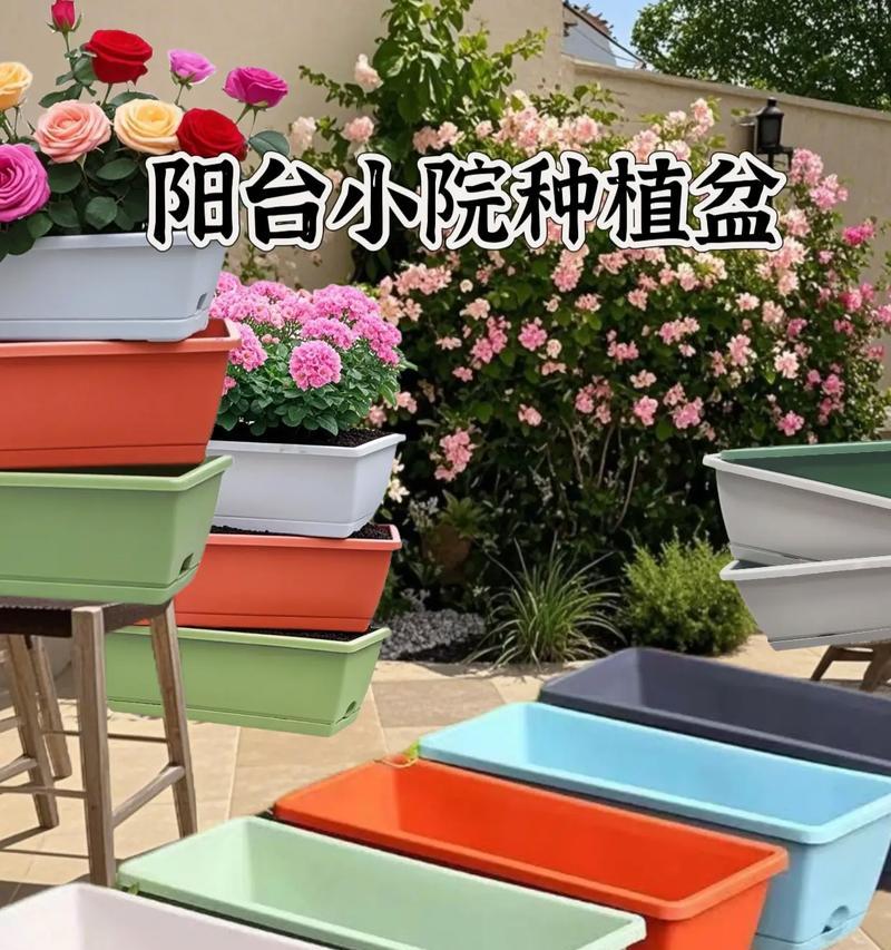 阳台花盆适合栽种哪些花卉？