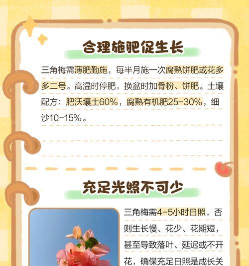 如何培养三角梅使其长出粗壮的枝干？