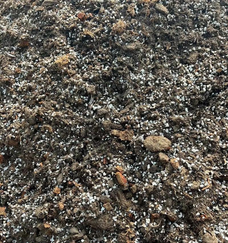 球根植物换土不换盆的影响是什么？