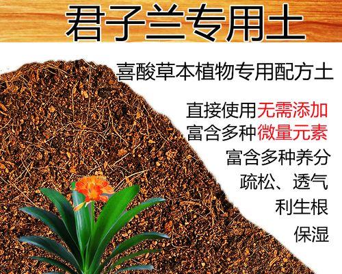 如何用好土养活君子兰？