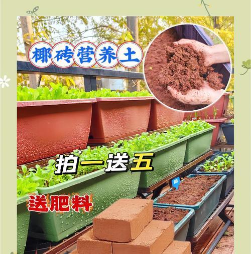 自制膨胀土壤肥料的有效方法是什么？