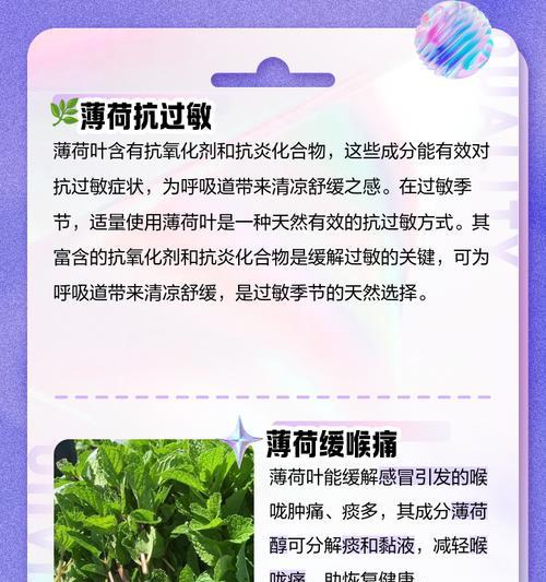 薄荷叶子发黄是什么原因？如何解决？