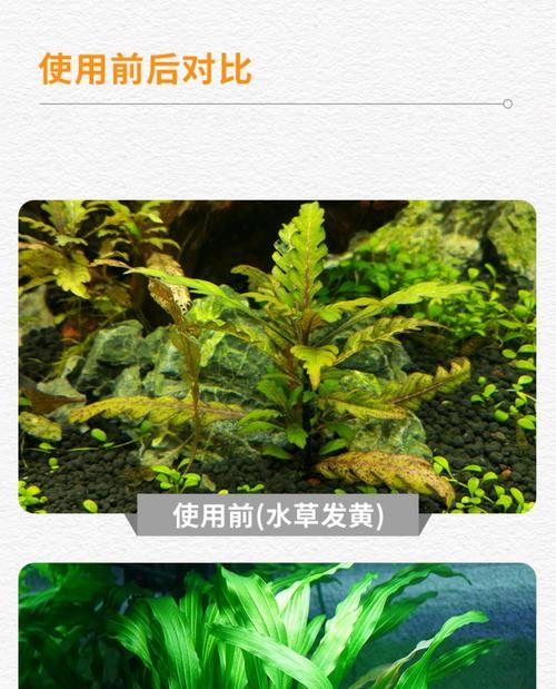 草缸水上叶子发黄如何处理？养护技巧有哪些？