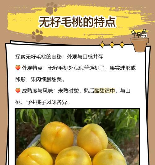 毛桃的最佳播种时间是什么时候？播种方法有哪些？