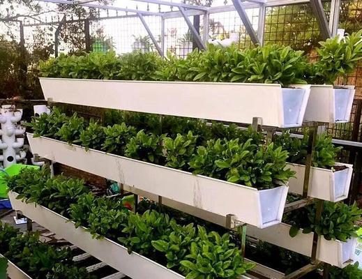 无公害栽培技术？有哪些环保的种植方法？