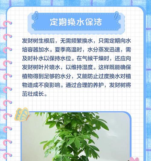 植物叶子发黄如何拯救？