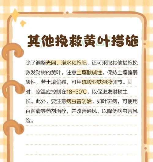 植物叶子发黄如何拯救？