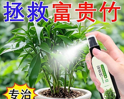 植物叶子发黄如何拯救？