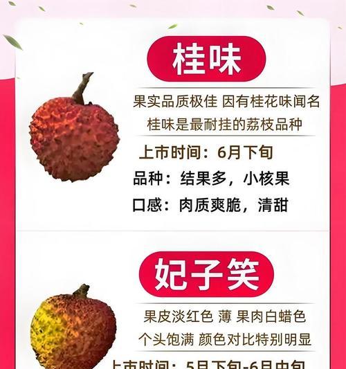 荔枝高效栽培技术有哪些？如何提高果实品质？