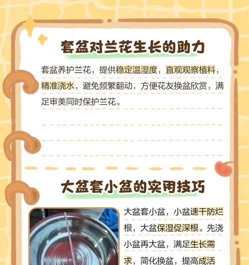 养花实用技巧有哪些？如何提高养花成功率？