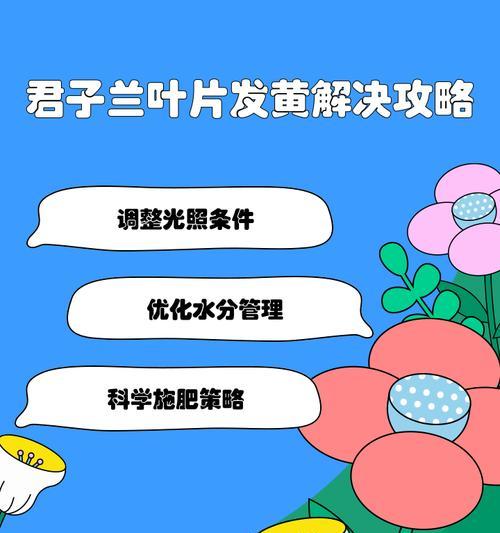 君子兰发根发黄怎么回事？君子兰根部发黄的原因及解决方法是什么？