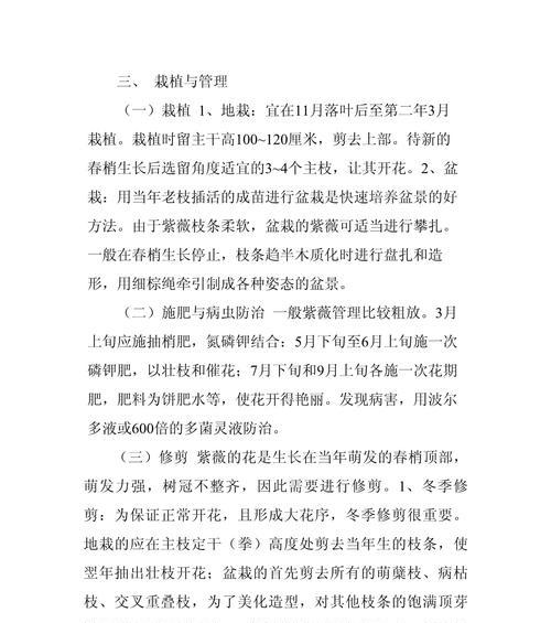 紫薇栽培和养护的要点是什么？