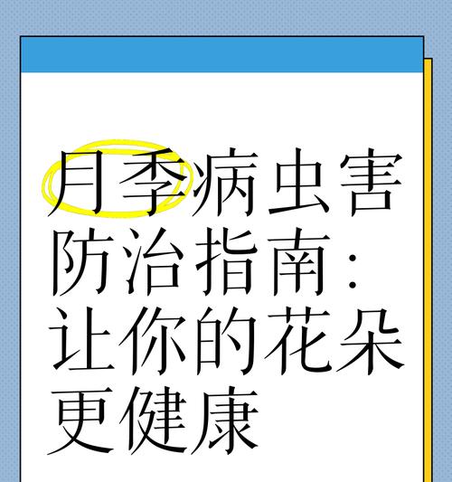 月季肥害是如何造成的？如何预防和处理？