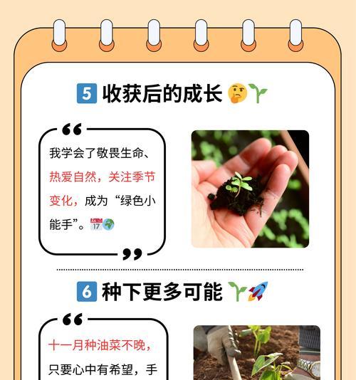 8月份适合播种哪些植物？播种技巧有哪些？