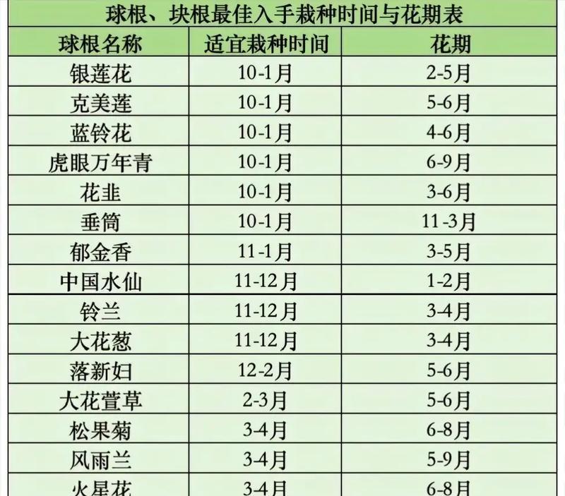 8月份适合播种哪些植物？播种技巧有哪些？