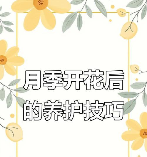 月季断水后如何快速恢复促花？