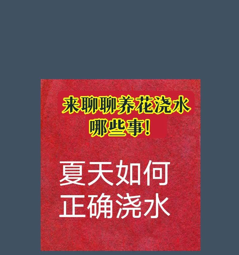 月季漫水浇水正确方法是什么？如何避免过度浇水导致根系腐烂？