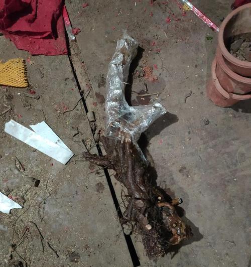 盆景出现漂浮雾化现象应如何处理？