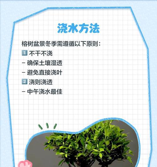 干旱天气下果树浇水的最佳方法？