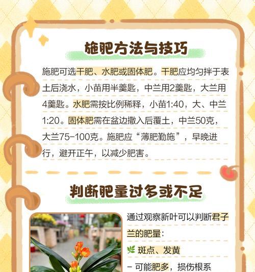 君子兰种子的正确种植方法？