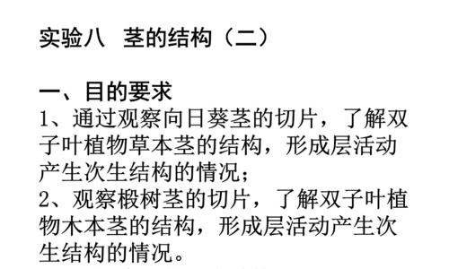 木本植物茎结构的记忆技巧是什么？