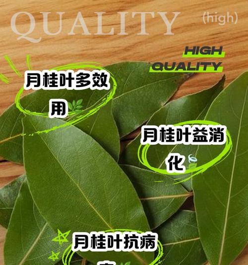月桂树叶子黄枯的原因及解决办法是什么？