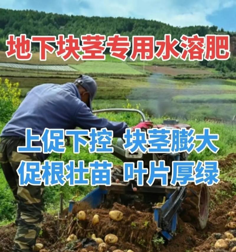 膨大素肥料配方如何自制？