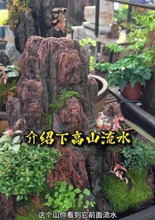 流水盆景制作方法是什么？