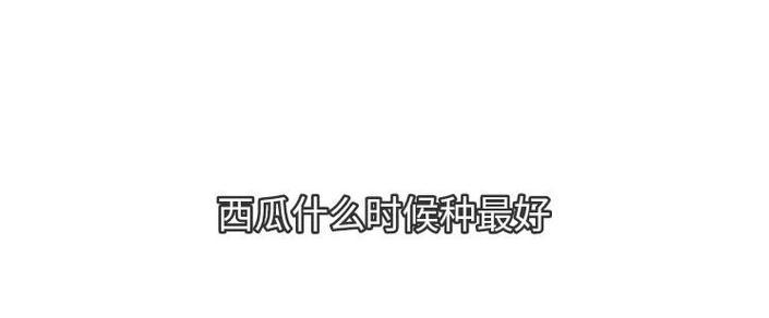 任丘地区西瓜的最佳播种时间是什么时候？