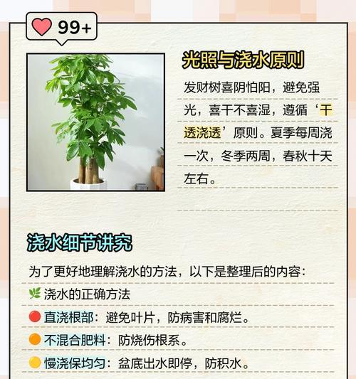 龙柏大树叶子发黄如何浇水？正确的浇水方法是什么？