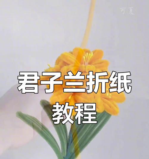 君子兰剪叶子的正确步骤是什么？
