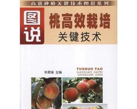 苹果桃栽培的关键技术要点是什么？