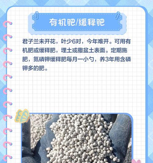 君子兰营养液：营养液体的成分和作用是什么？