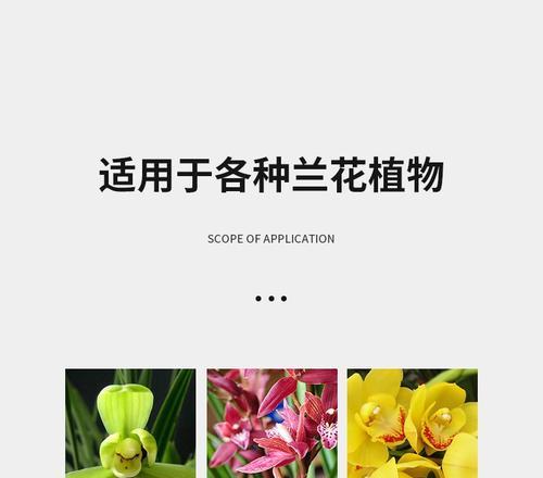 君子兰营养液：营养液体的成分和作用是什么？