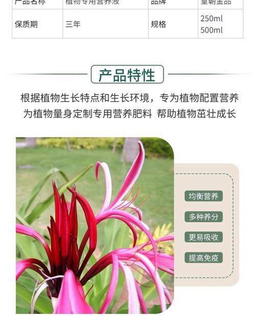 君子兰营养液：营养液体的成分和作用是什么？
