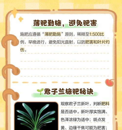 君子兰的正确摘取方法是什么？