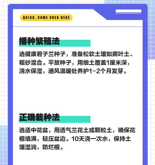 君子兰的正确摘取方法是什么？