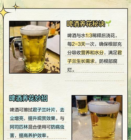 君子兰的正确摘取方法是什么？