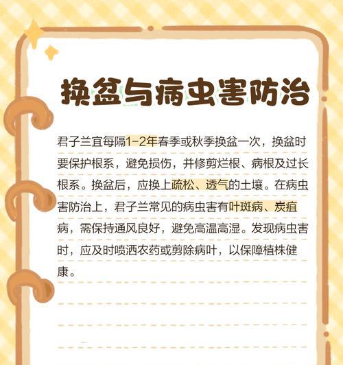 君子兰砖土壤施肥的最佳实践是什么？